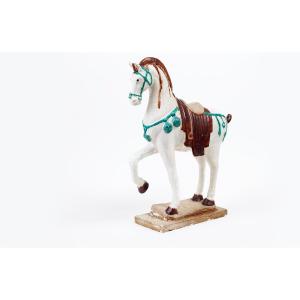 Horse Buried In Enamel