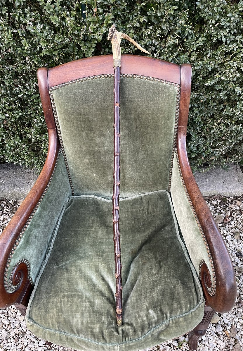 Canne à caractère antisemite en bois de cerf - 19° siècle-photo-5