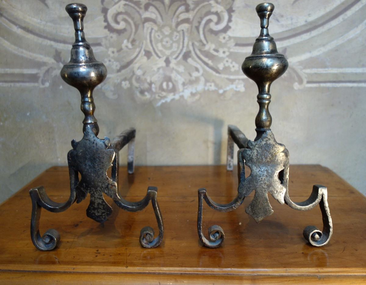 Pair Of 18th Century Wrought Iron And Silver-plated Bronze Andirons