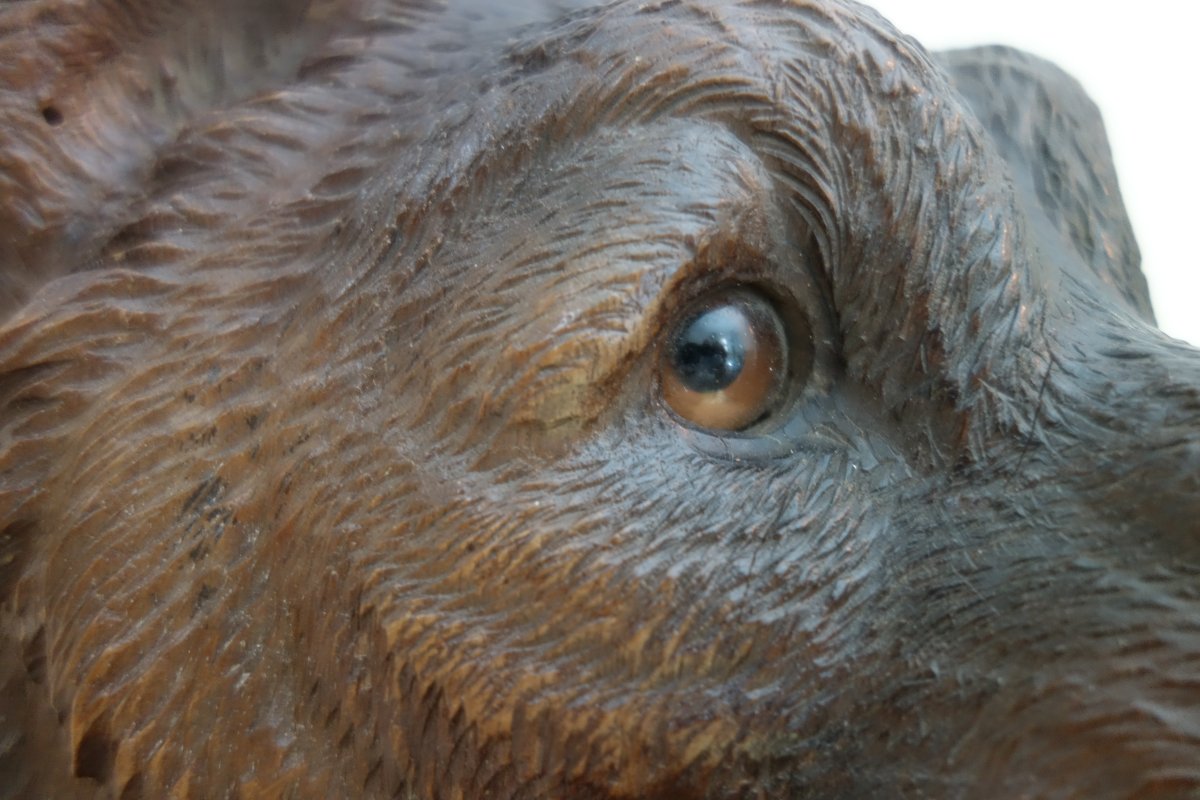 Rare Carved Wooden Bear Head, From The Black Forest, 19th Century.-photo-3