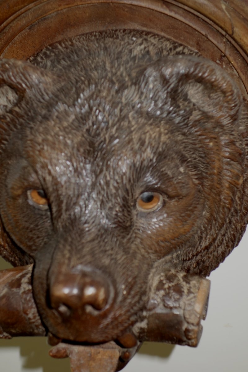 Rare Carved Wooden Bear Head, From The Black Forest, 19th Century.-photo-4