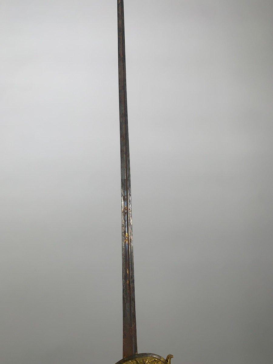 Officer's Sword Member Of The Institute Of Egypt Empire / Consulate Period 18th Century -photo-8