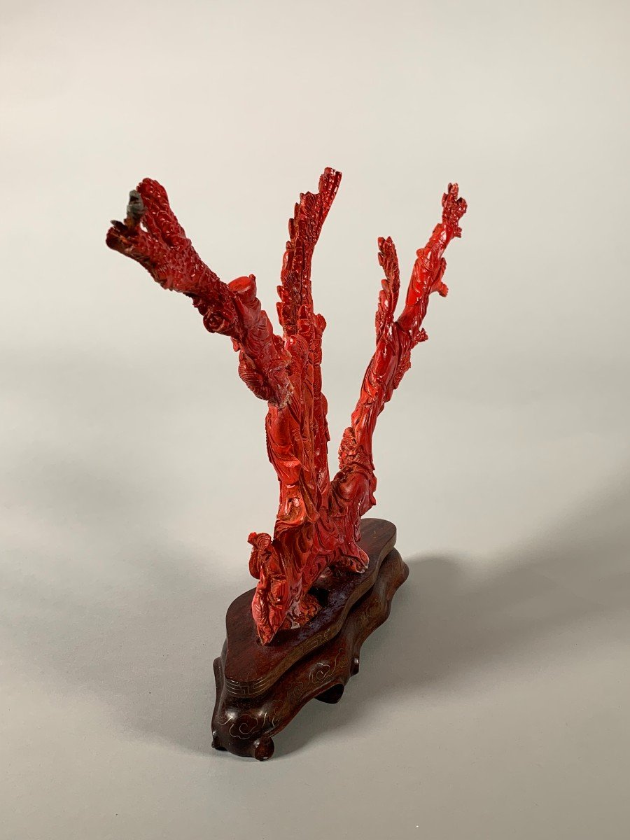 Large Coral Sculpture China Early 20th Century -photo-6
