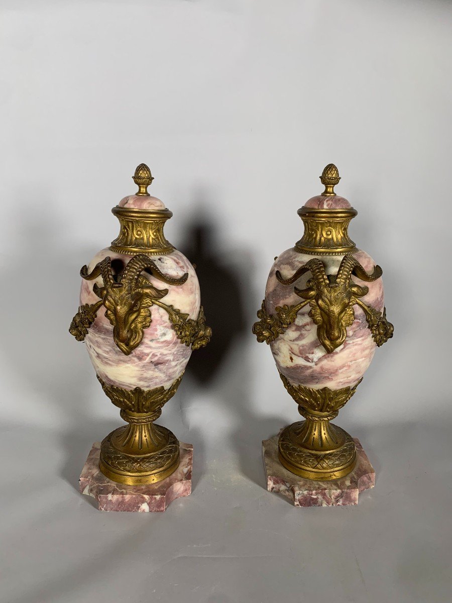 Pair Of Louis XVI Style Pink Marble And Gilt Bronze Cassolettes-photo-3