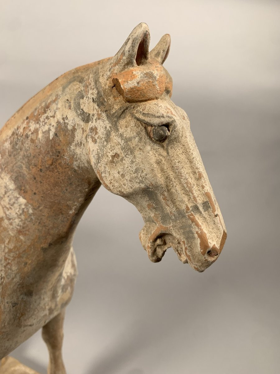 Sculpture d'Un Cavalier En Terre Cuite Dynastie Han 206 Bc-220 Ac Mingqi Chine-photo-6