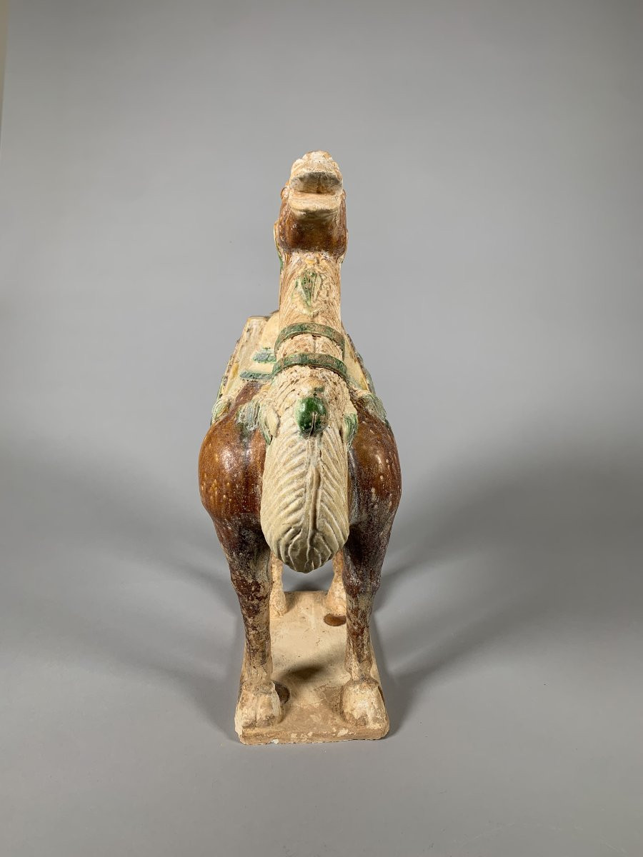 Terracotta Sculpture Of A Camel Tang Dynasty (618-907) China Archaeology-photo-4