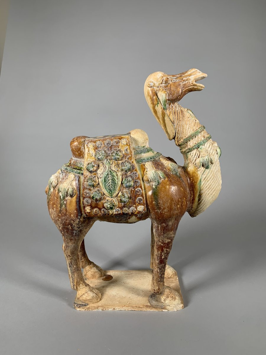 Terracotta Sculpture Of A Camel Tang Dynasty (618-907) China Archaeology-photo-2