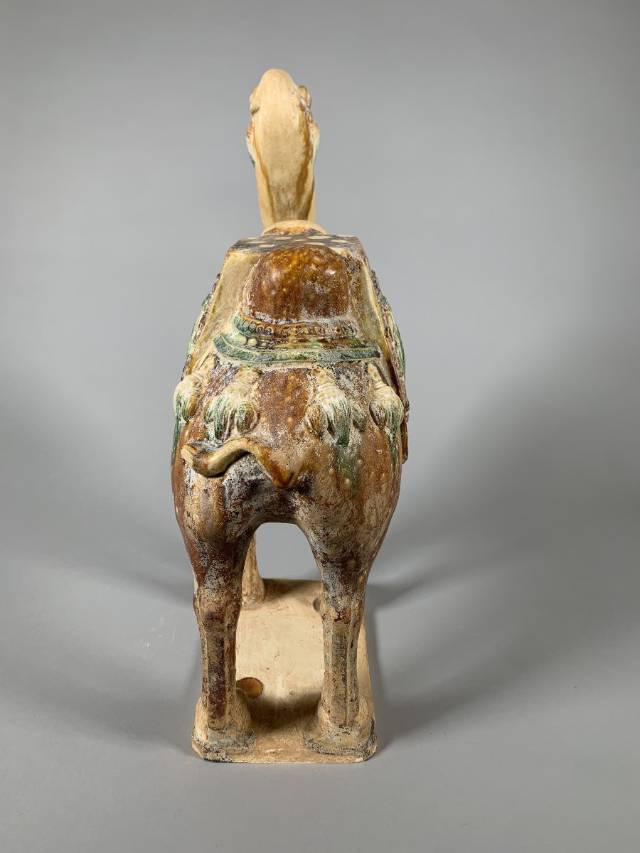 Terracotta Sculpture Of A Camel Tang Dynasty (618-907) China Archaeology-photo-4