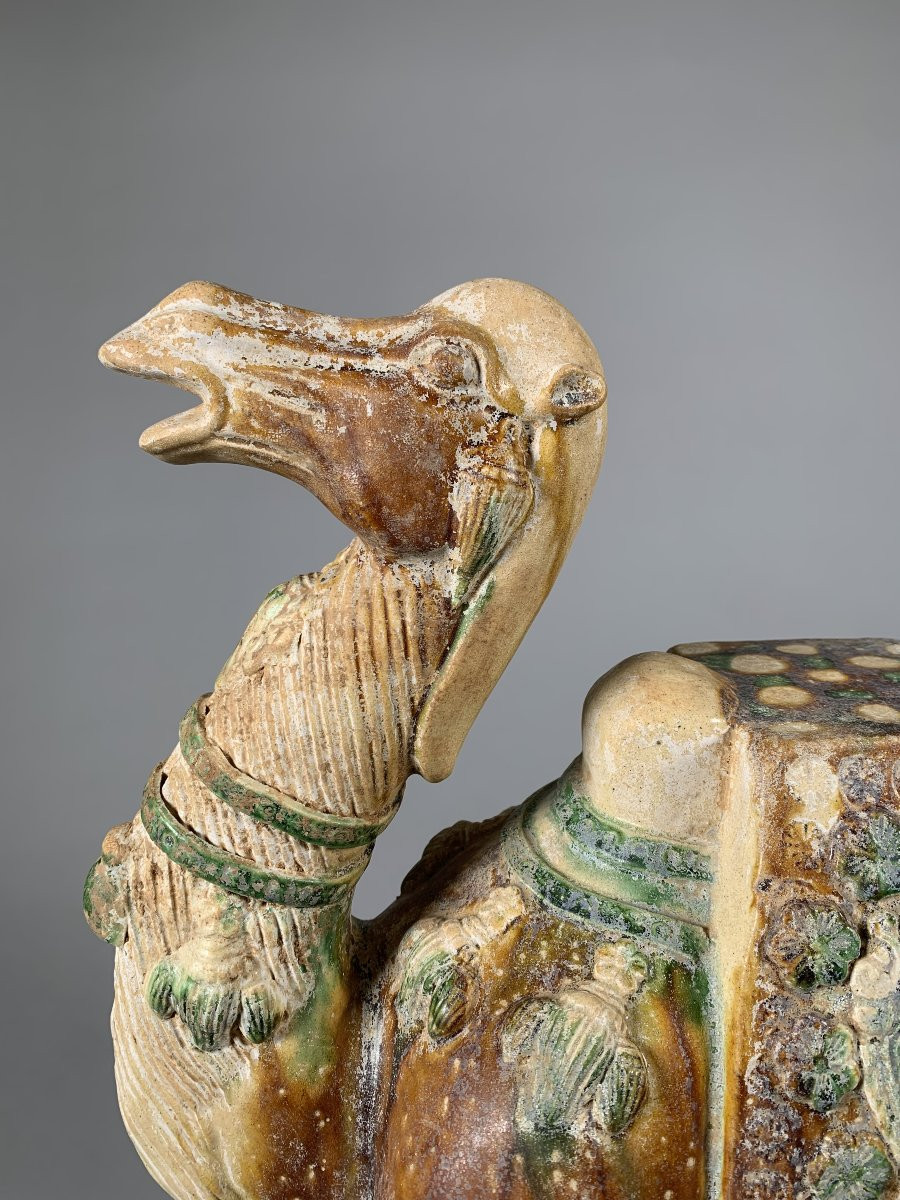 Terracotta Sculpture Of A Camel Tang Dynasty (618-907) China Archaeology-photo-6