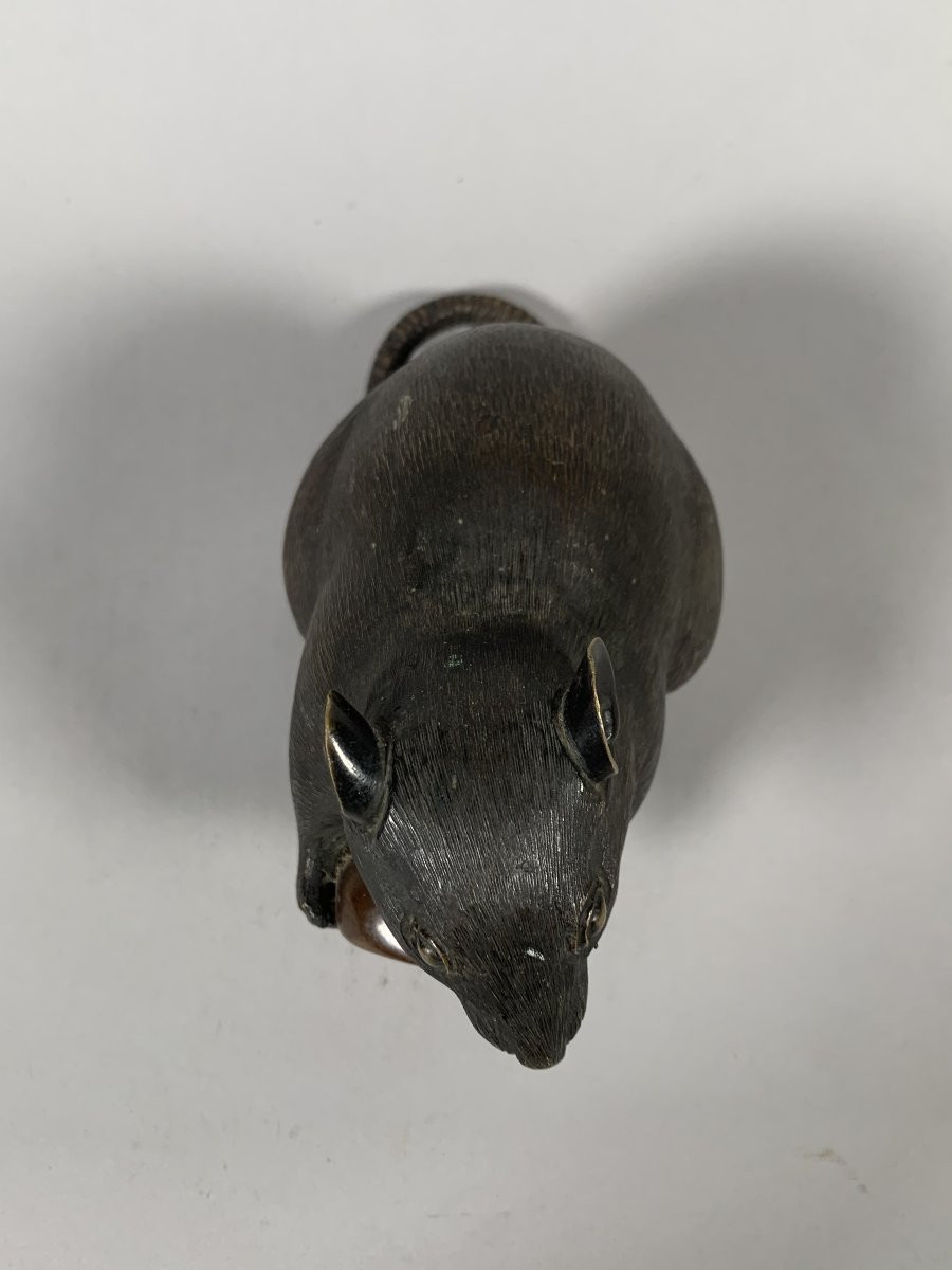 Souris a la châtaigne - Bronze - Japon - Période Meiji (1868–1912) XIXeme siecle-photo-5