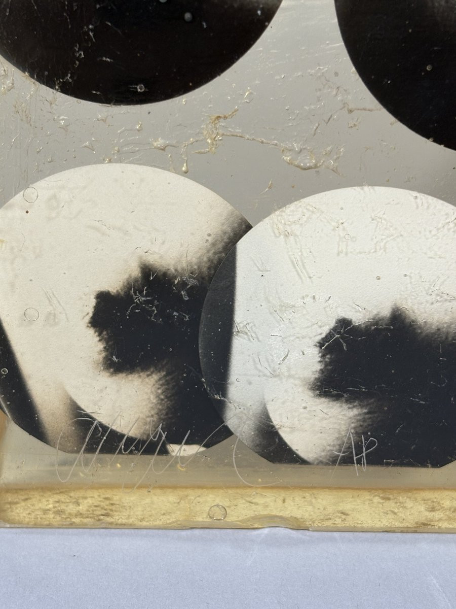 Arman (1928-2005) Prayer To Touch (1973) Inclusion Accumulation In Resin  -photo-2