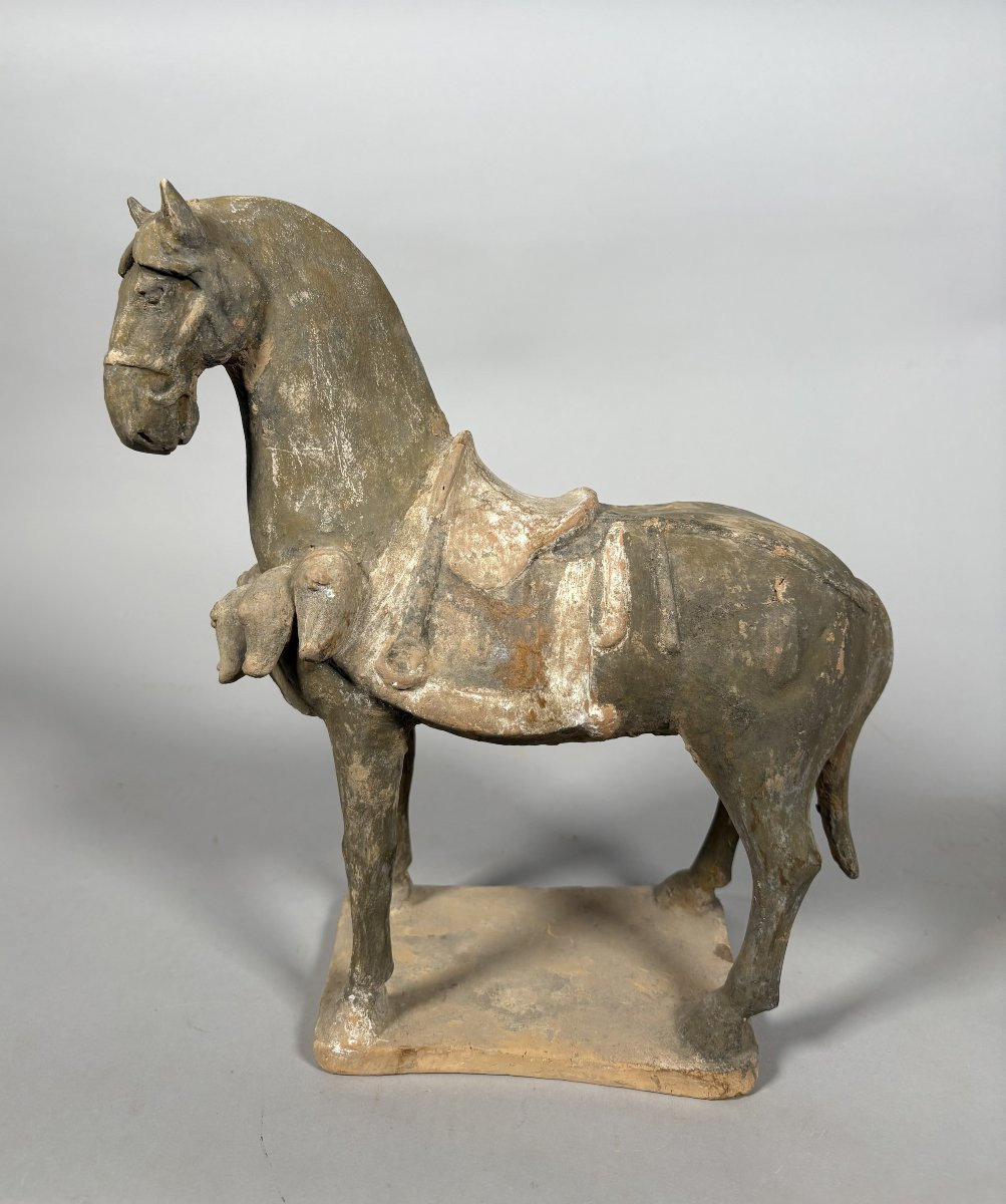 Sculpture d'un cheval de guerre  Mingqi Chine Dynastie Tang (618-907)-photo-2