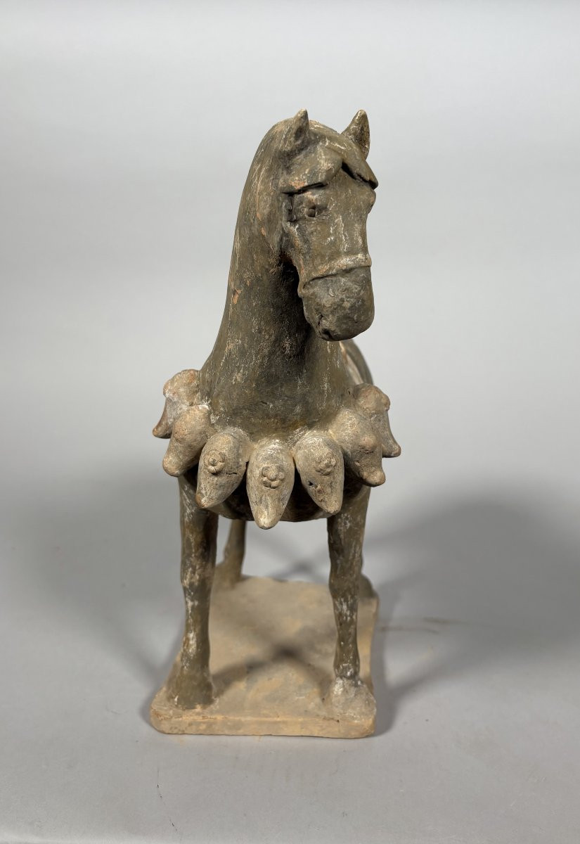 Sculpture d'un cheval de guerre  Mingqi Chine Dynastie Tang (618-907)-photo-4