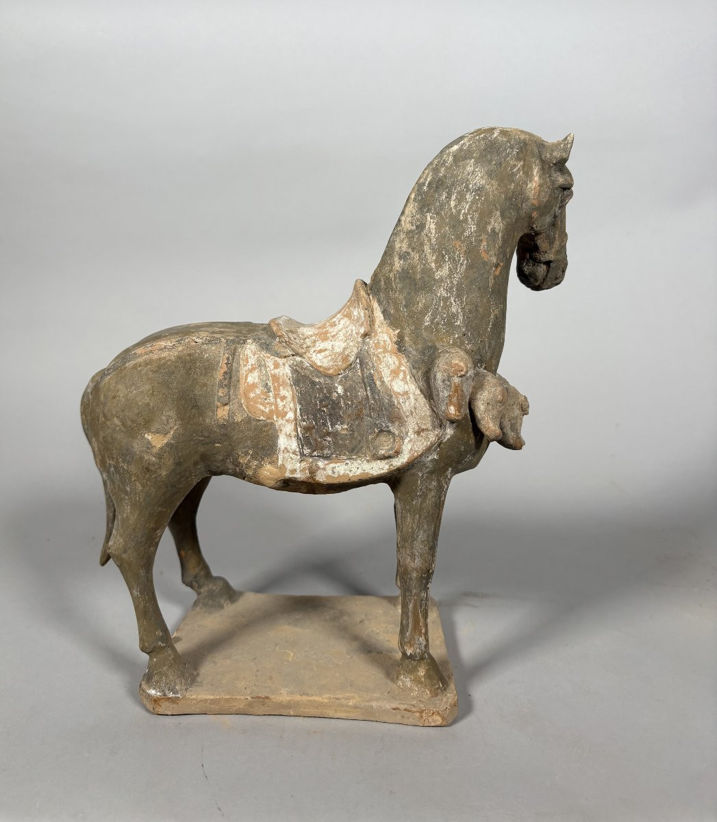 Sculpture d'un cheval de guerre  Mingqi Chine Dynastie Tang (618-907)-photo-1