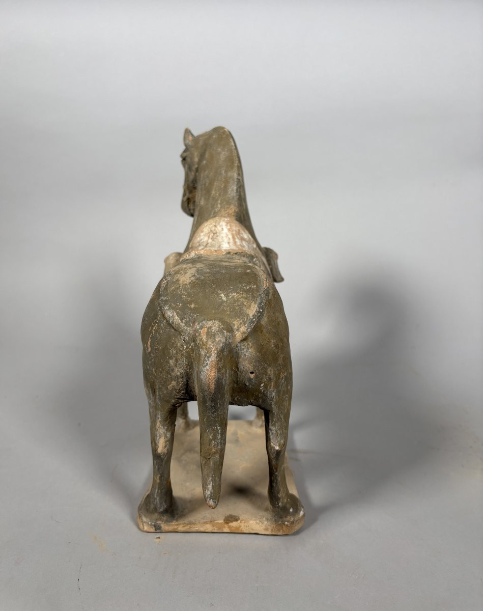 Sculpture d'un cheval de guerre  Mingqi Chine Dynastie Tang (618-907)-photo-4