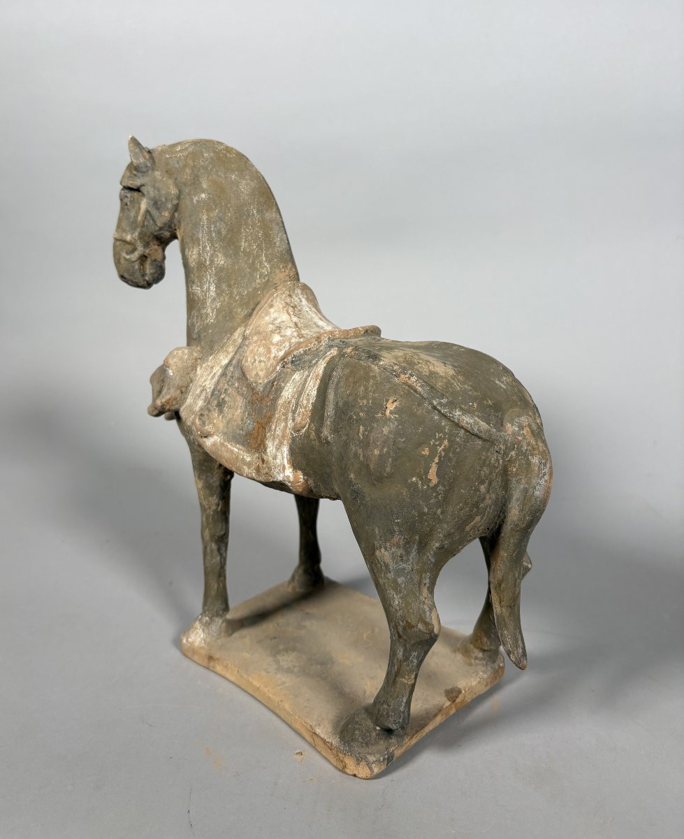 Sculpture d'un cheval de guerre  Mingqi Chine Dynastie Tang (618-907)-photo-5