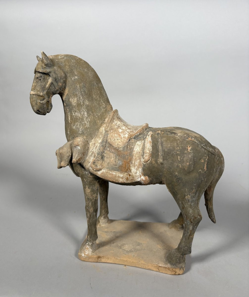 Sculpture d'un cheval de guerre  Mingqi Chine Dynastie Tang (618-907)-photo-6