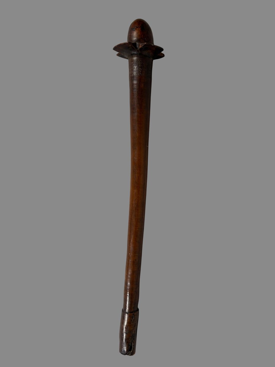  Phallic War Club With A Phallic Head, Kanak, New Caledonia-photo-4