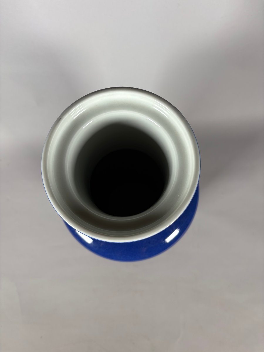 China, 19th Century Porcelain Scroll Vase Decorated With Carp On A Powder-blue Background-photo-2