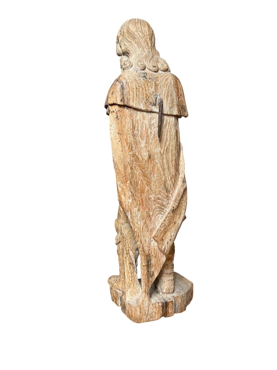 Sculpture en bois de Saint Roch  - XVIIème siècle  -photo-4