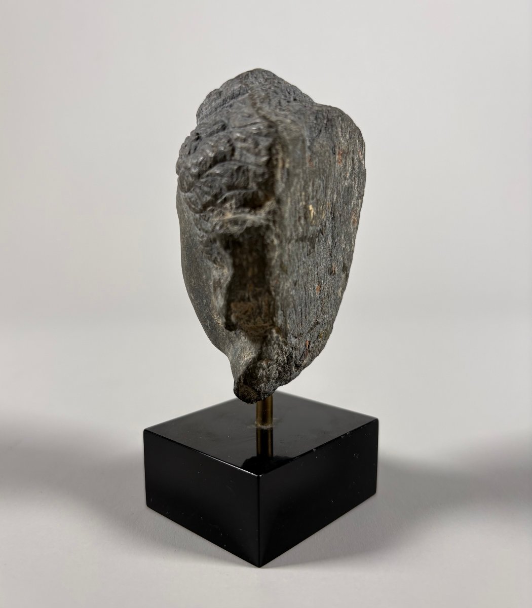Buddha Head Sculpture In Gray Gandhara Schist, Indo-greek Kingdoms, 1st–2nd Century-photo-1