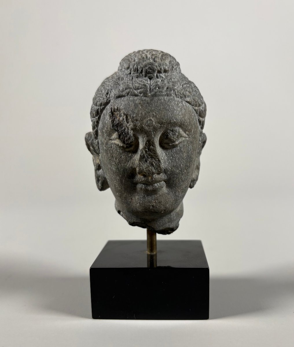Buddha Head Sculpture In Gray Gandhara Schist, Indo-greek Kingdoms, 1st–2nd Century
