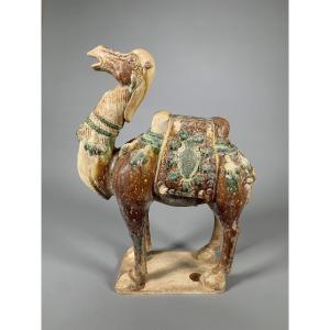 Sculpture en terre cuite d'un chameau Dynastie Tang (618-907) ou posterieur Chine Archéologie