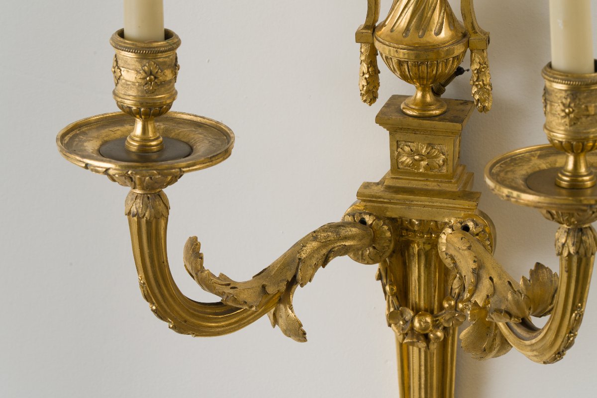 Pair Of Louis XVI Sconces-photo-2