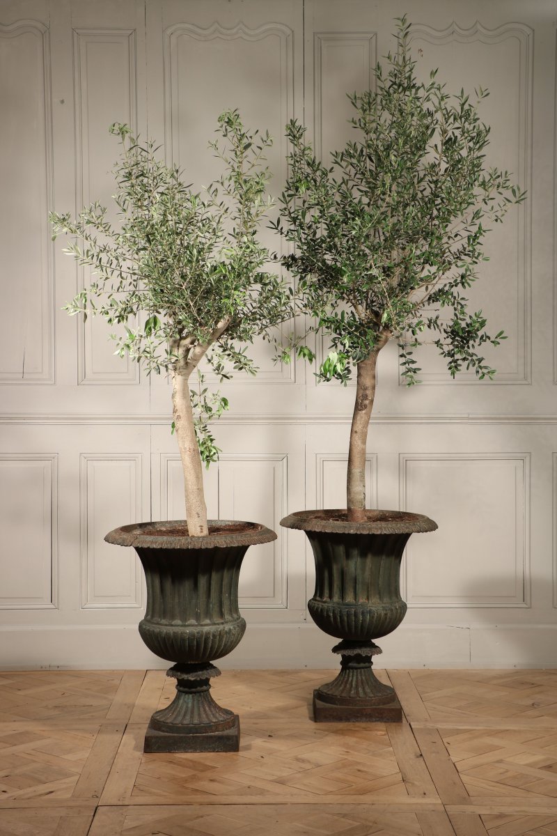 Pair Of Cast Iron Garden Vases