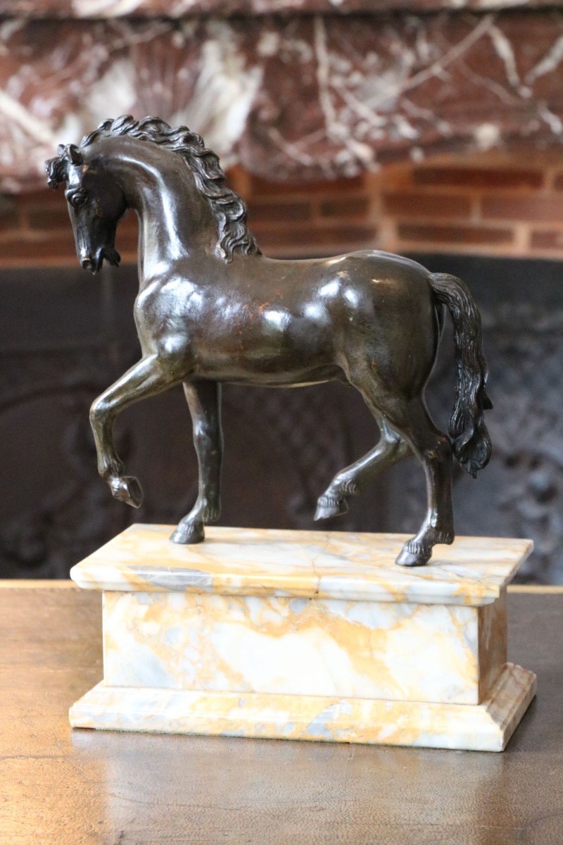 Cheval En Bronze à Patine Brune