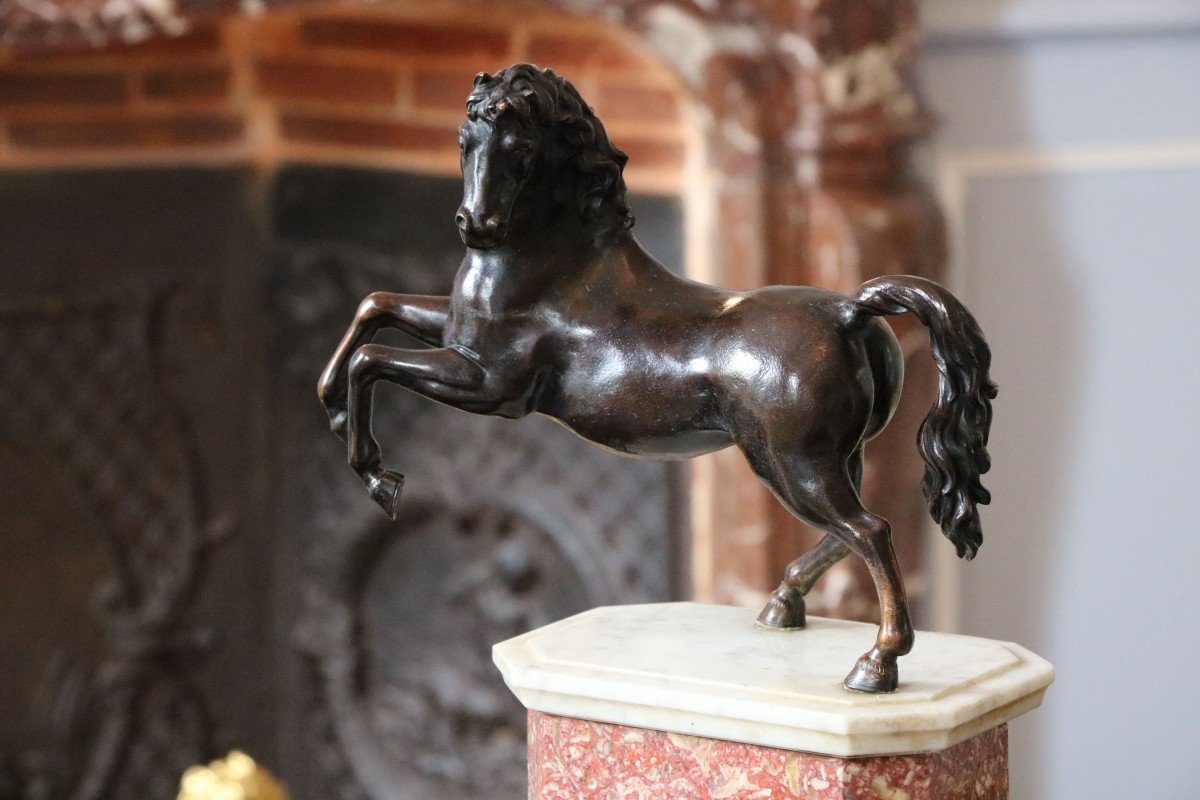 Prancing Horse In Bronze With Brown Patina-photo-2