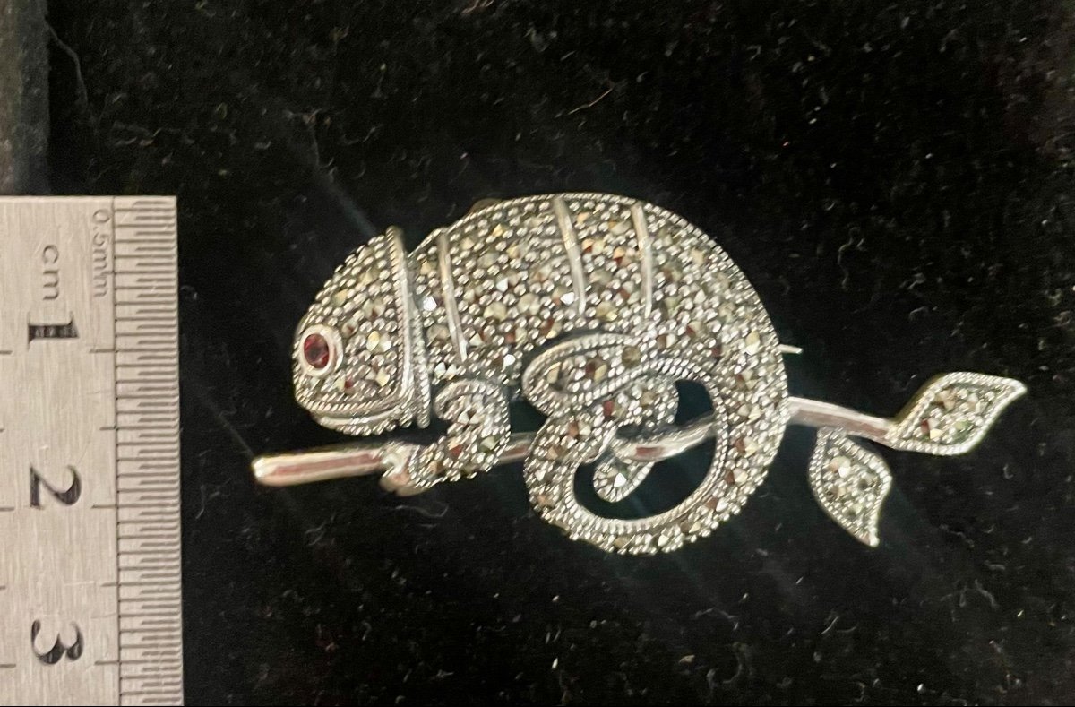 Caméléon Silver Brooch-photo-4