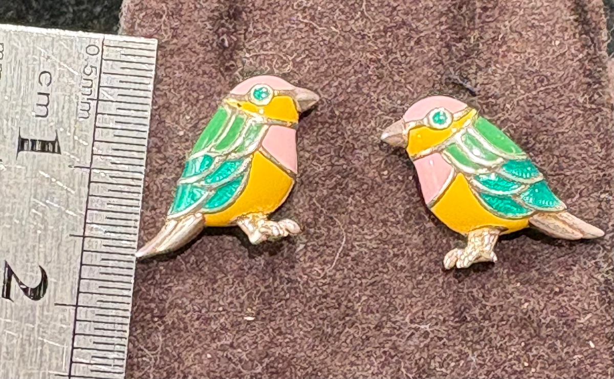 Silver Enamel Earrings -photo-4