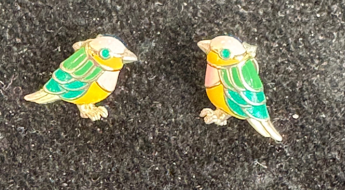Silver Enamel Earrings -photo-1