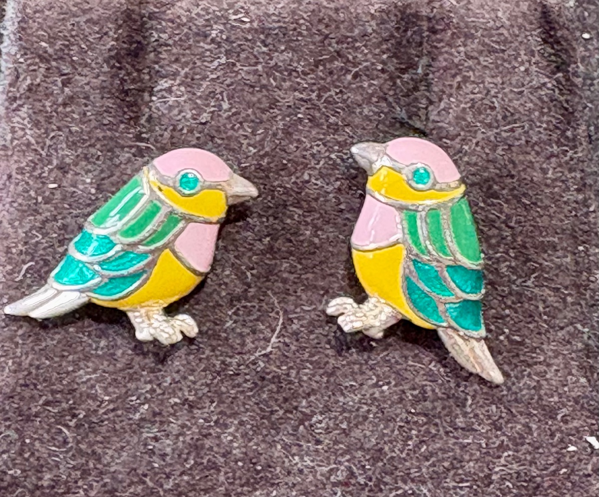 Silver Enamel Earrings 