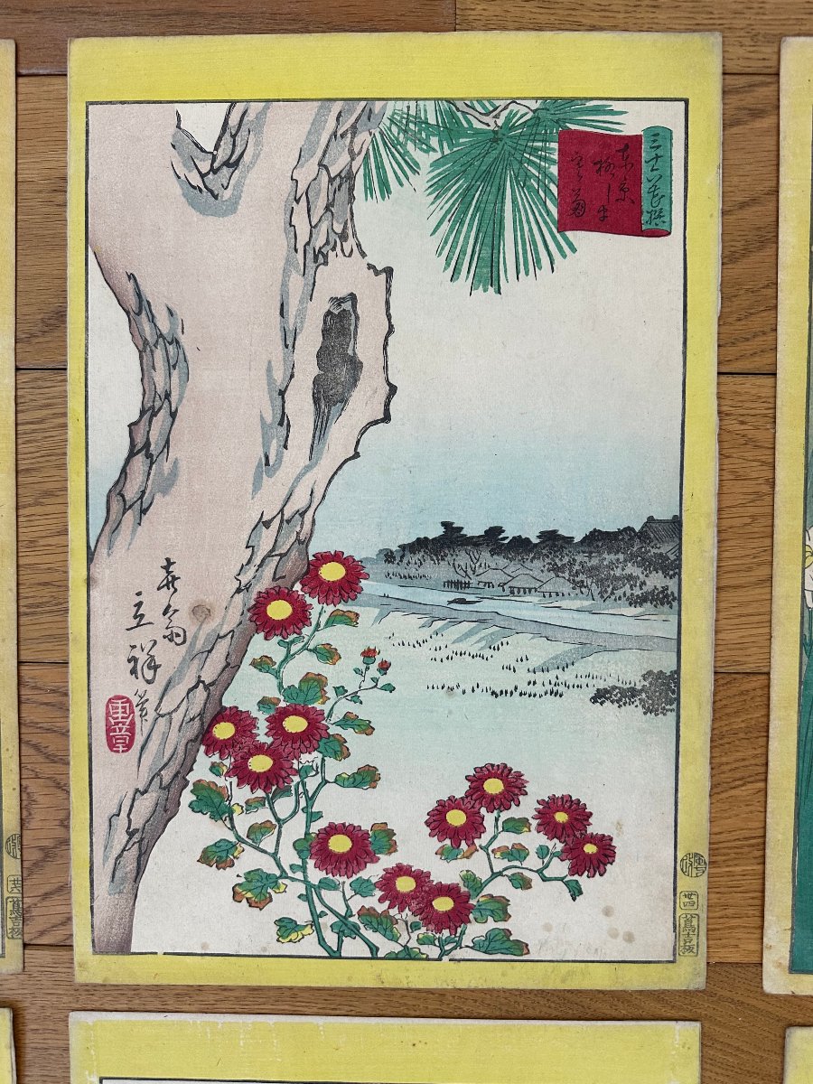 Utagawa Hiroshige Ii, 7 Prints Of Flowers, Plants, And Landscapes-photo-3