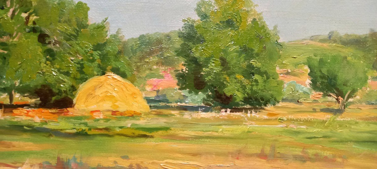 Provencal House And Countryside. François Gautier. -photo-3