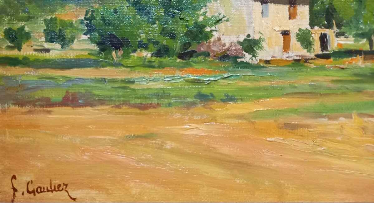 Provencal House And Countryside. François Gautier. -photo-4