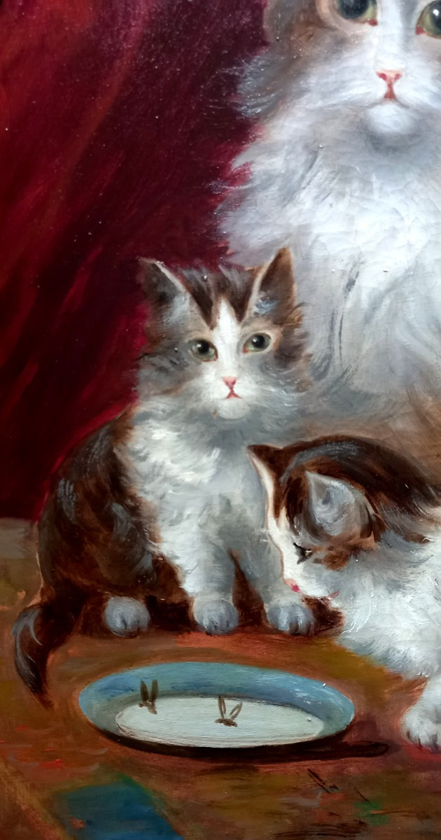 Chat et chatons. Léon Charles Huber. -photo-3