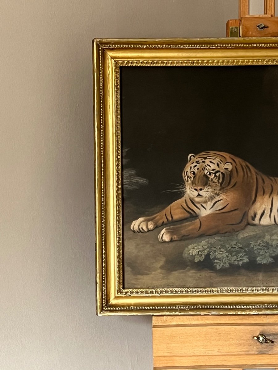 Une Tigress, 1798 - Gravée Par John Murphy Avec La Permission De George Stubbs.-photo-4