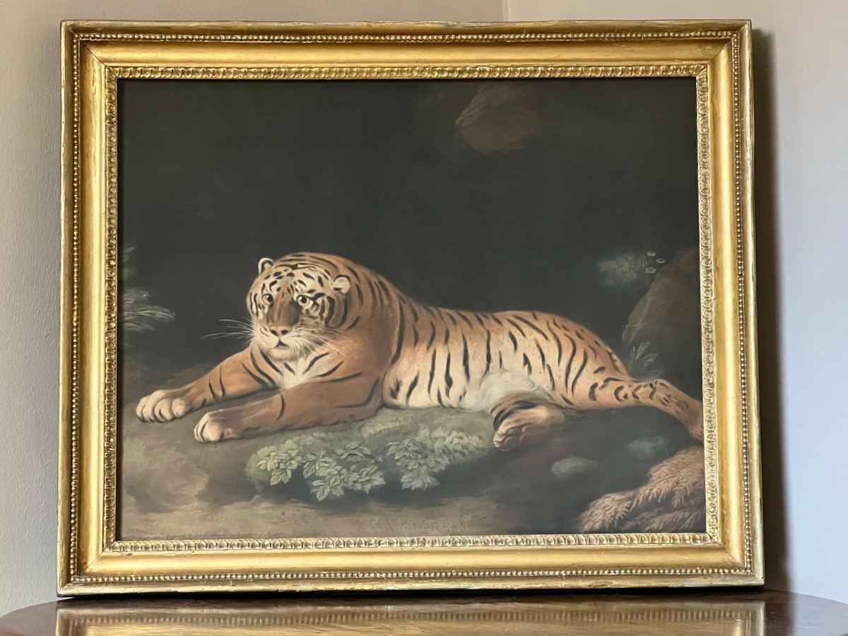 Une Tigress, 1798 - Gravée Par John Murphy Avec La Permission De George Stubbs.-photo-3