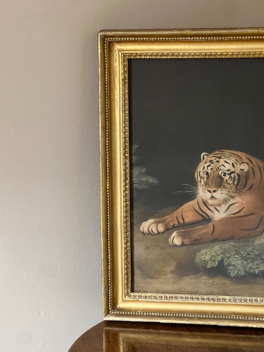 Une Tigress, 1798 - Gravée Par John Murphy Avec La Permission De George Stubbs.-photo-4