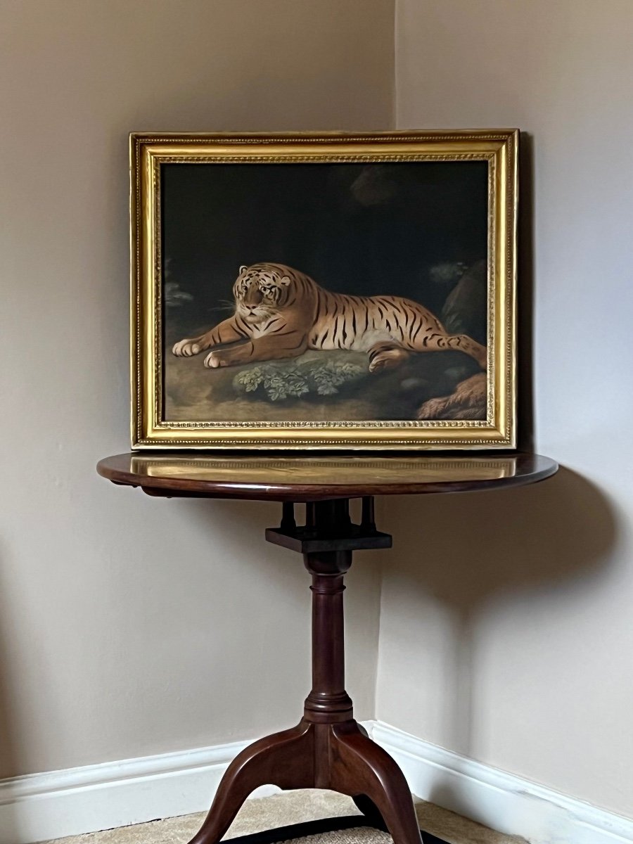 Une Tigress, 1798 - Gravée Par John Murphy Avec La Permission De George Stubbs.-photo-5