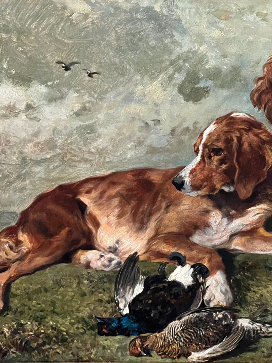 Setters And Game - By John Emms (1844-1912)-photo-3