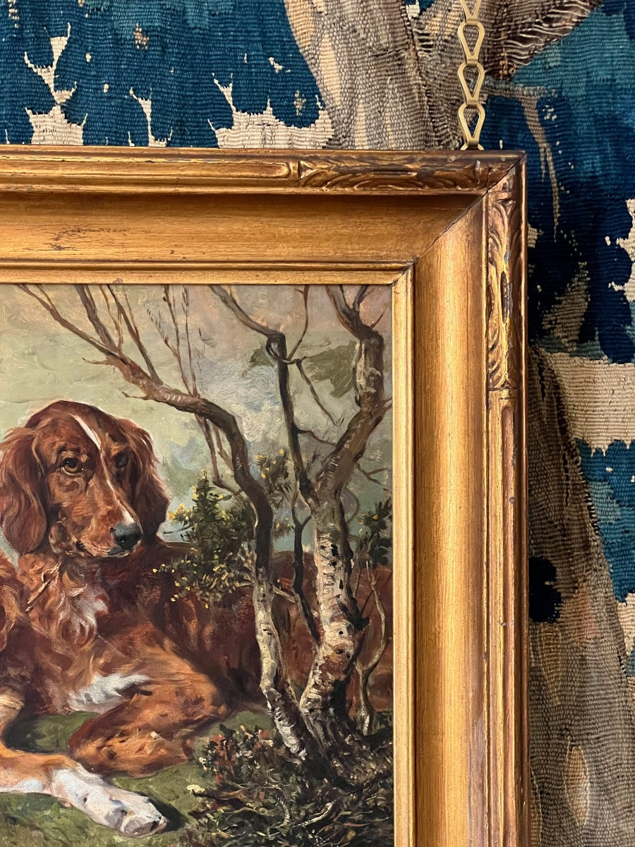 Setters And Game - By John Emms (1844-1912)-photo-3