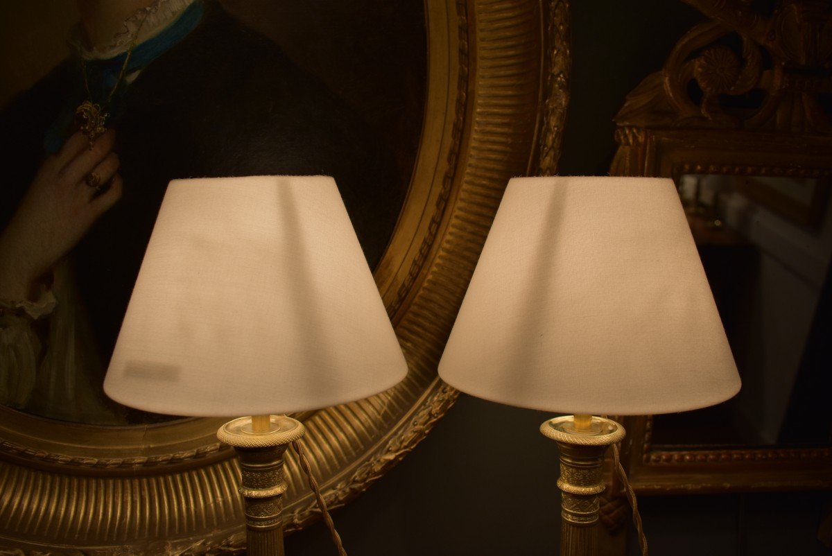 Pair Of Bronze And Gilt Bronze Lamps-photo-4