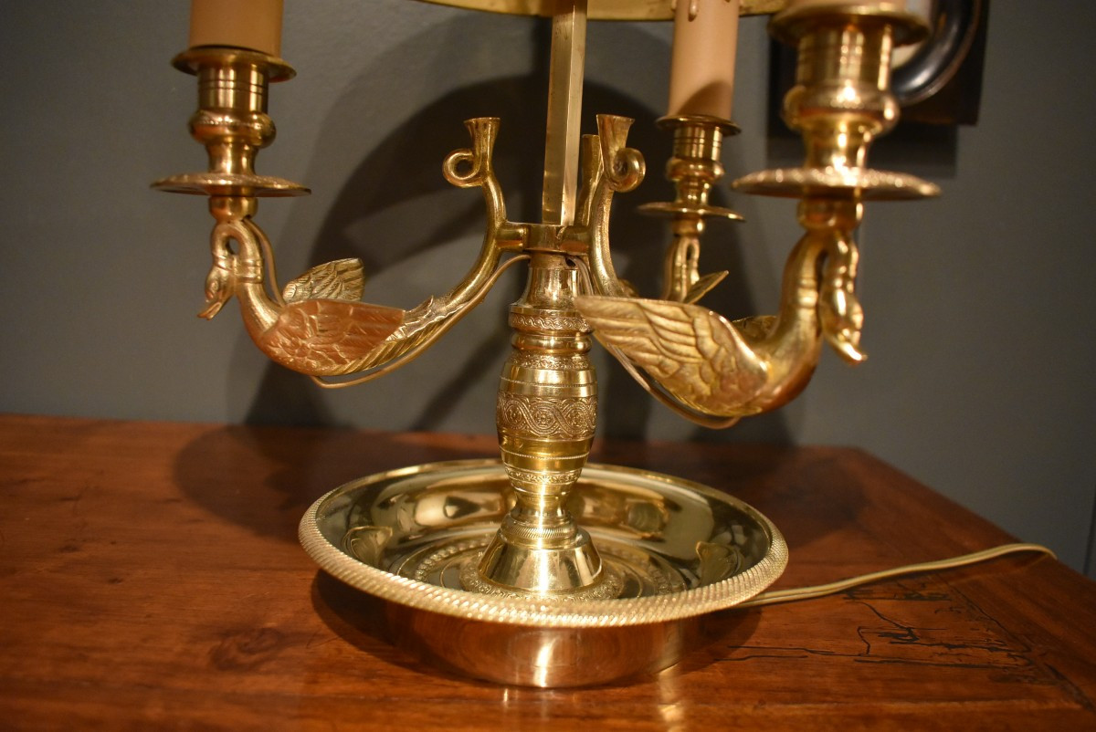 Lampe bouillotte aux cygnes ailés-photo-4