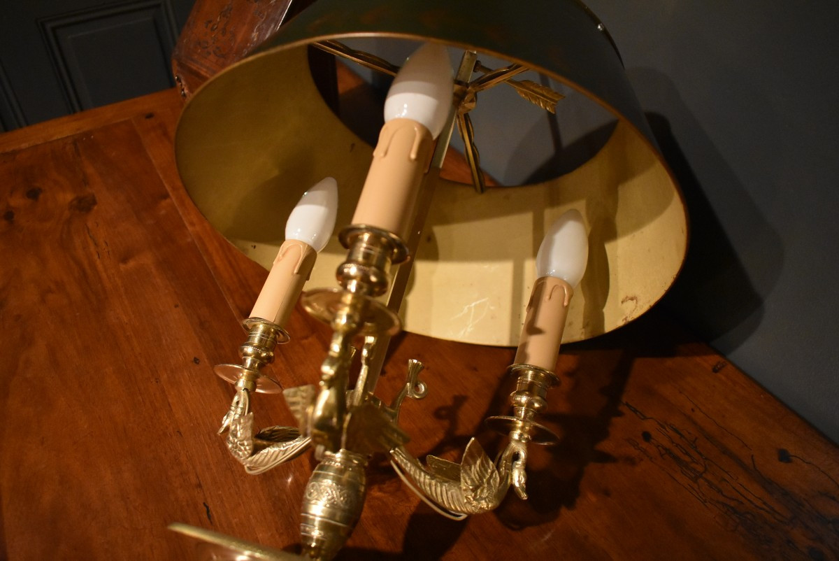 Lampe bouillotte aux cygnes ailés-photo-8