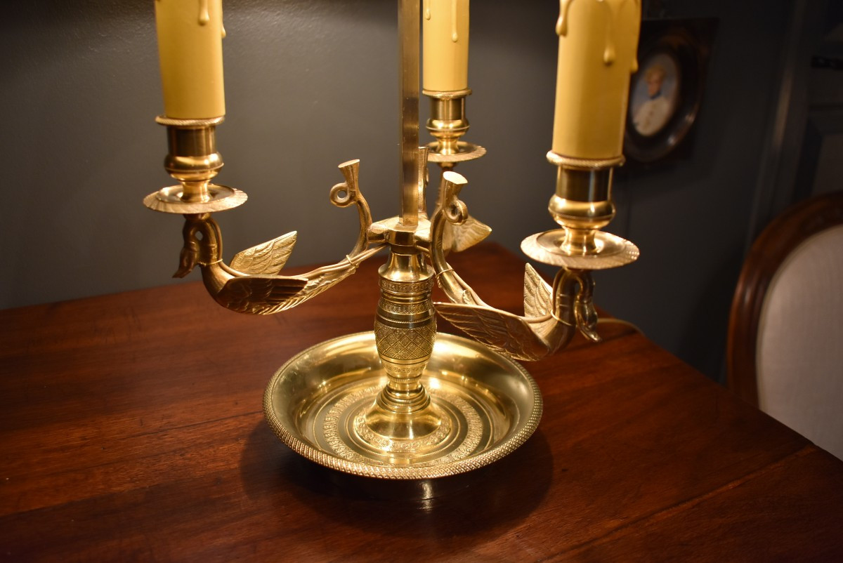 Lampe bouillotte aux cygnes ailés-photo-3