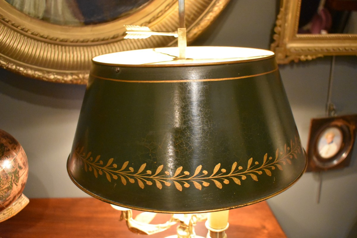 Lampe bouillotte aux cygnes ailés-photo-4